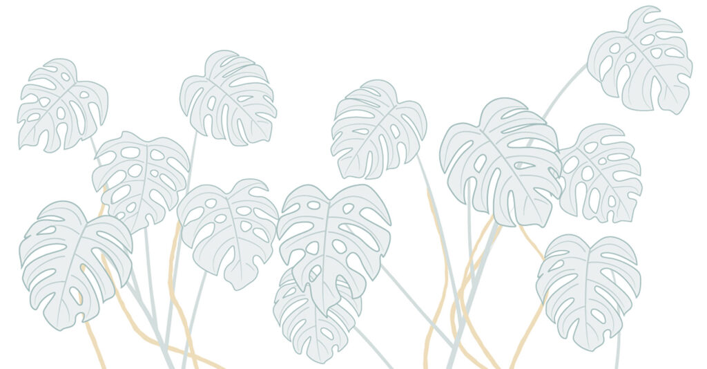 philodendron backdrop